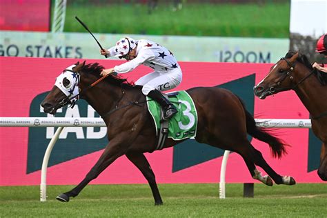 pago pago stakes